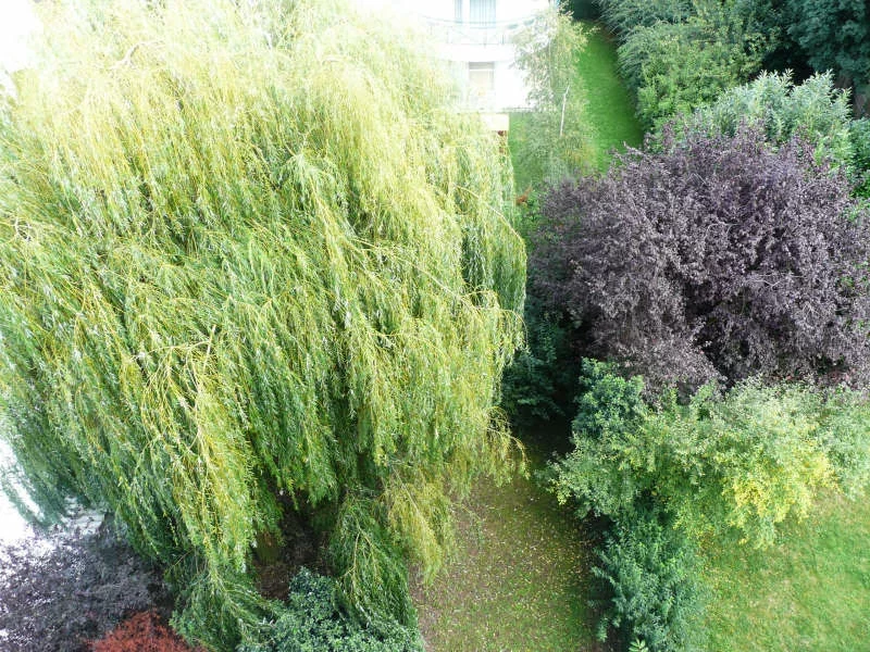 vente-appartement-3-pieces-sceaux-83873673