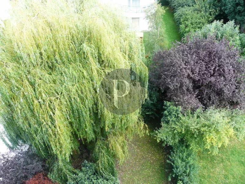 vente-appartement-3-pieces-sceaux-83873673