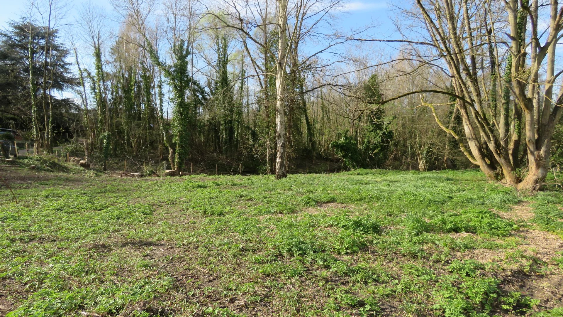Vente Terrain constructible Montfort-l'Amaury