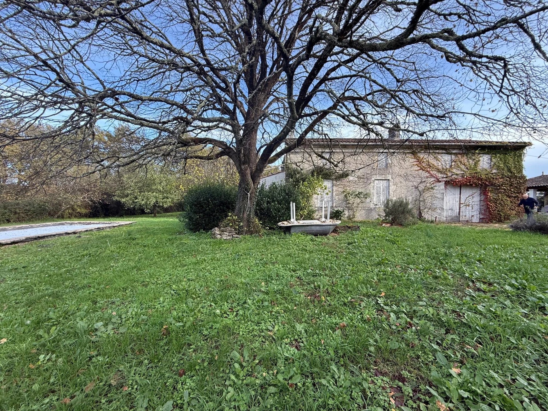 Agence immobilière de ROSER BEATRICE