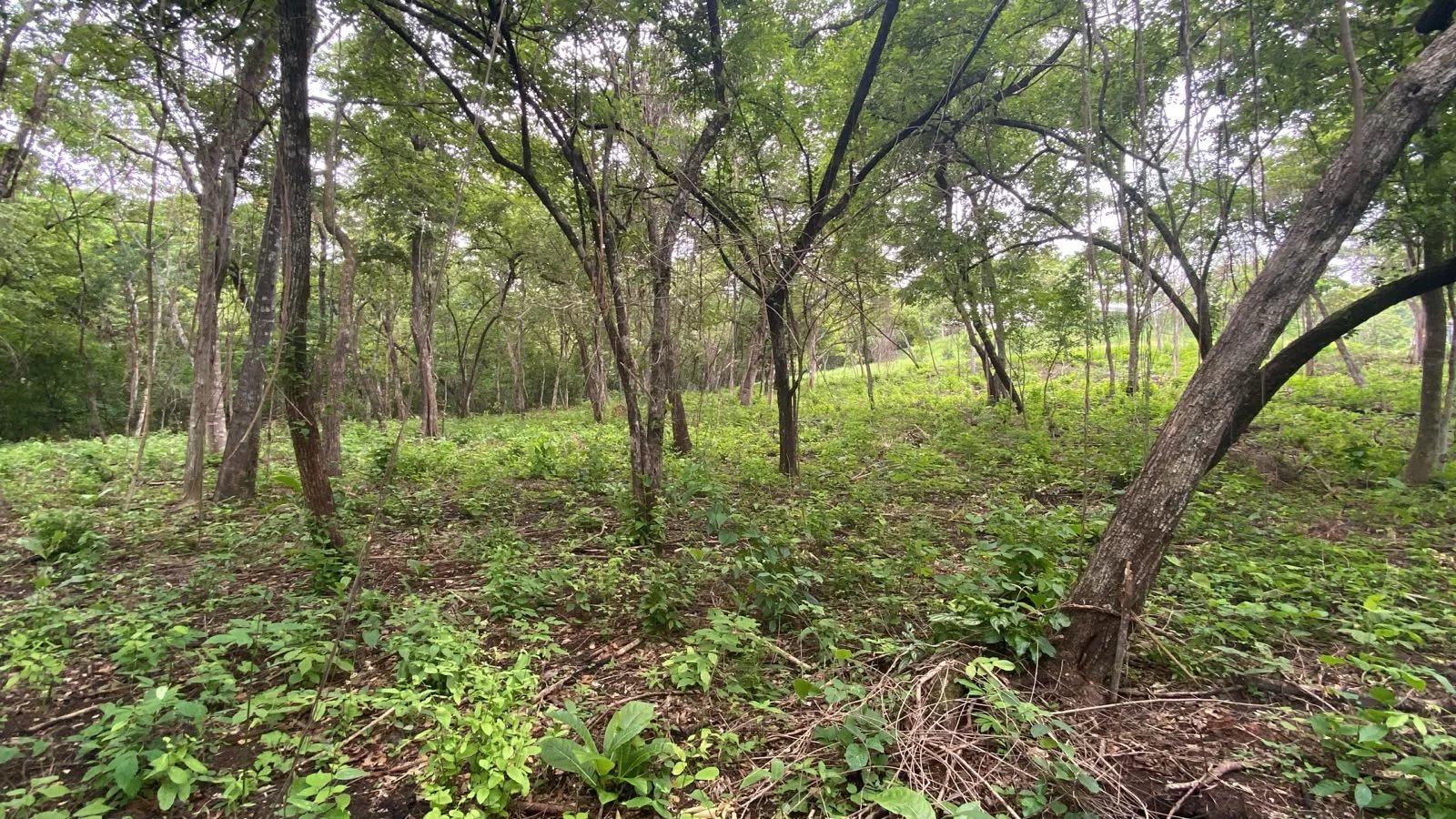 Sale Building land Cartagena