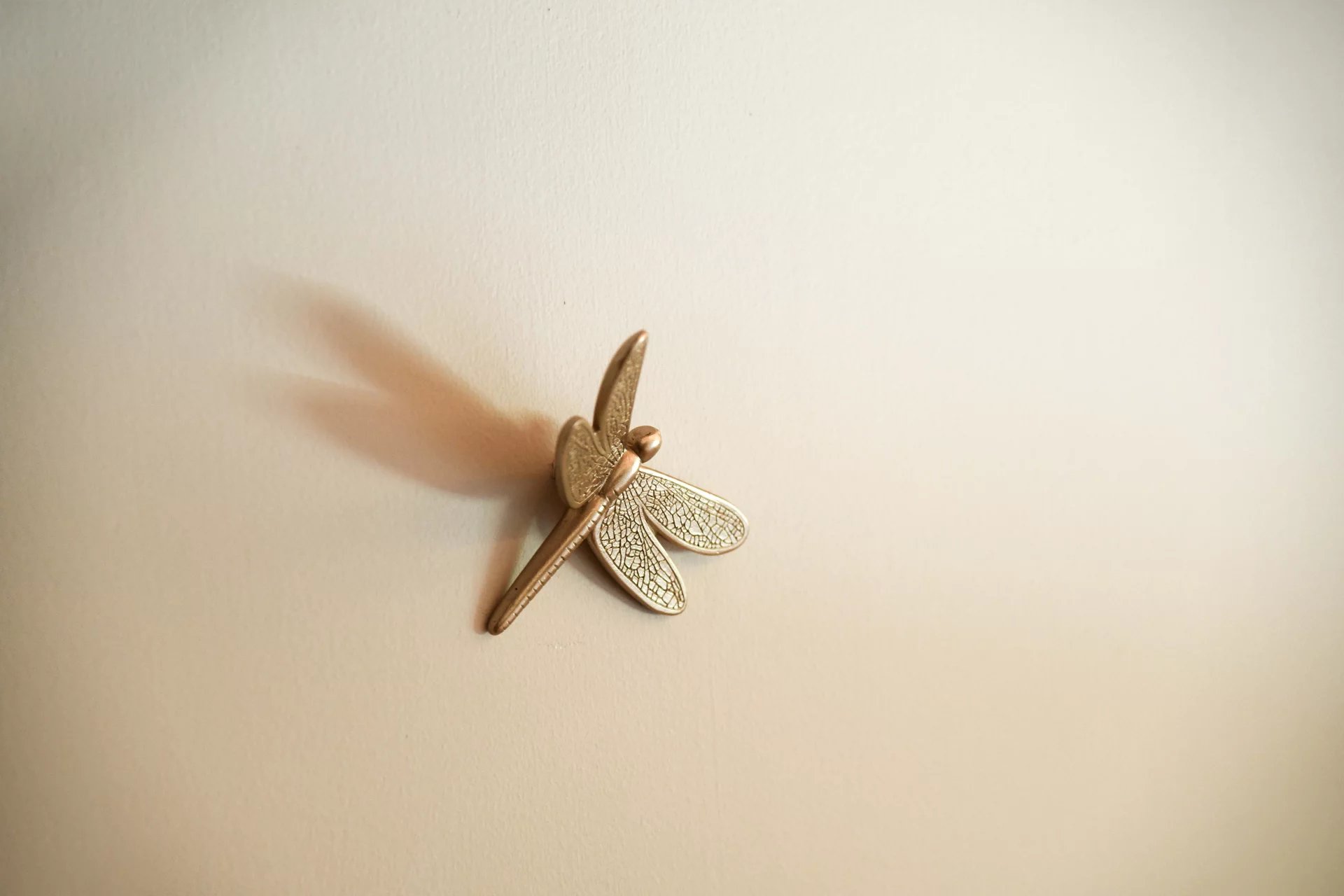 Agence immobilière de Catherine la Bruyère Immobilier