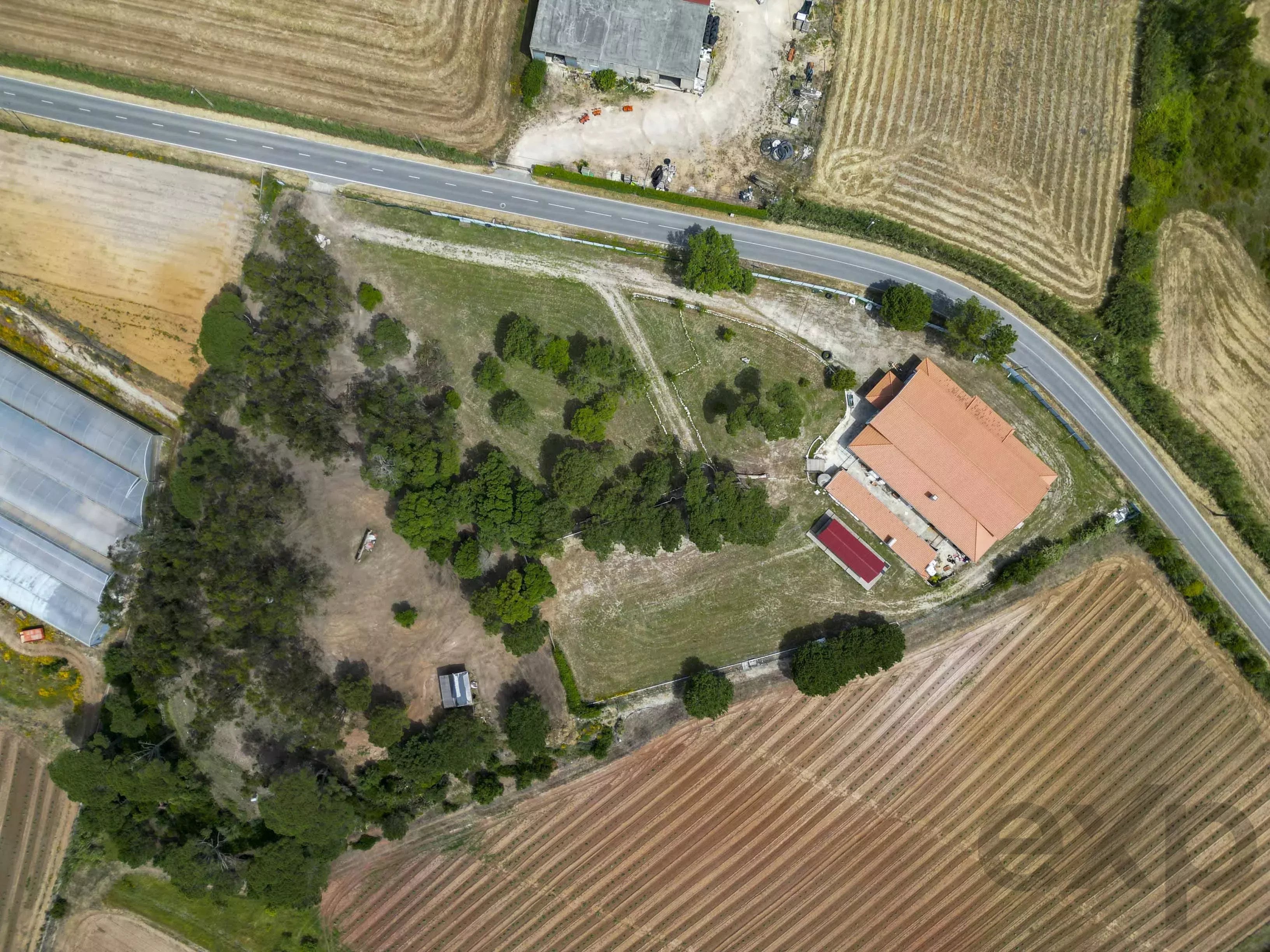A dos Cunhados - Commercial farm with a plot of land measuring 9630 square meters 87016840 image 28