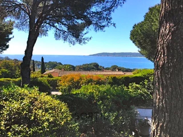 Agence immobilière de Sortie Realty