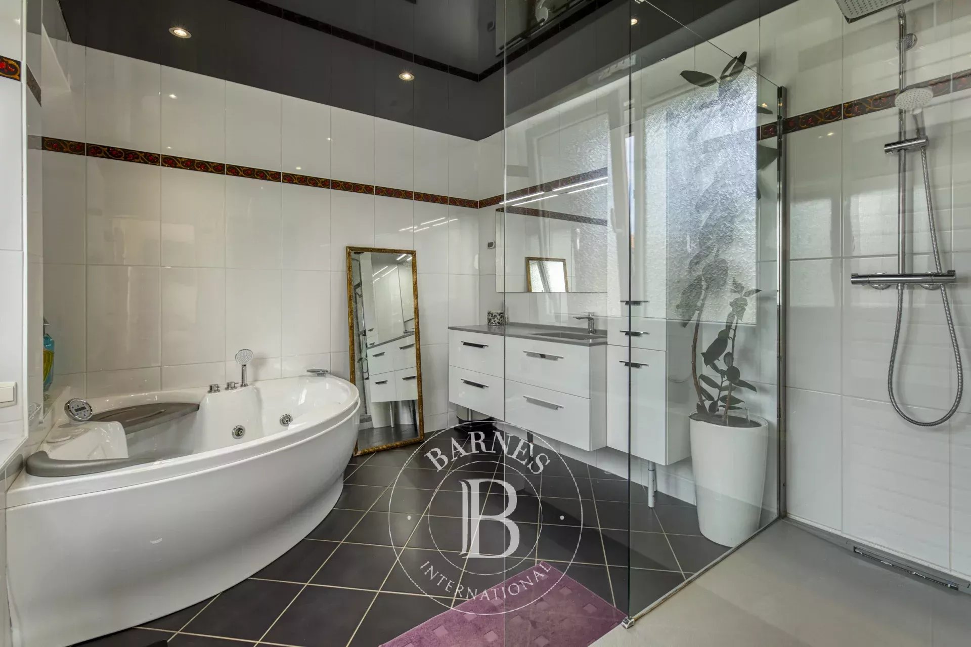 Ev Annemasse - picture 9