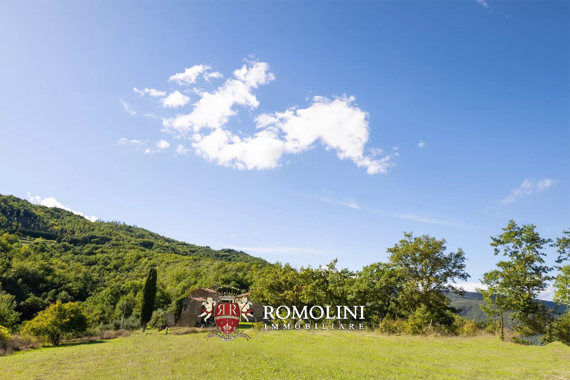 Property Slider Image