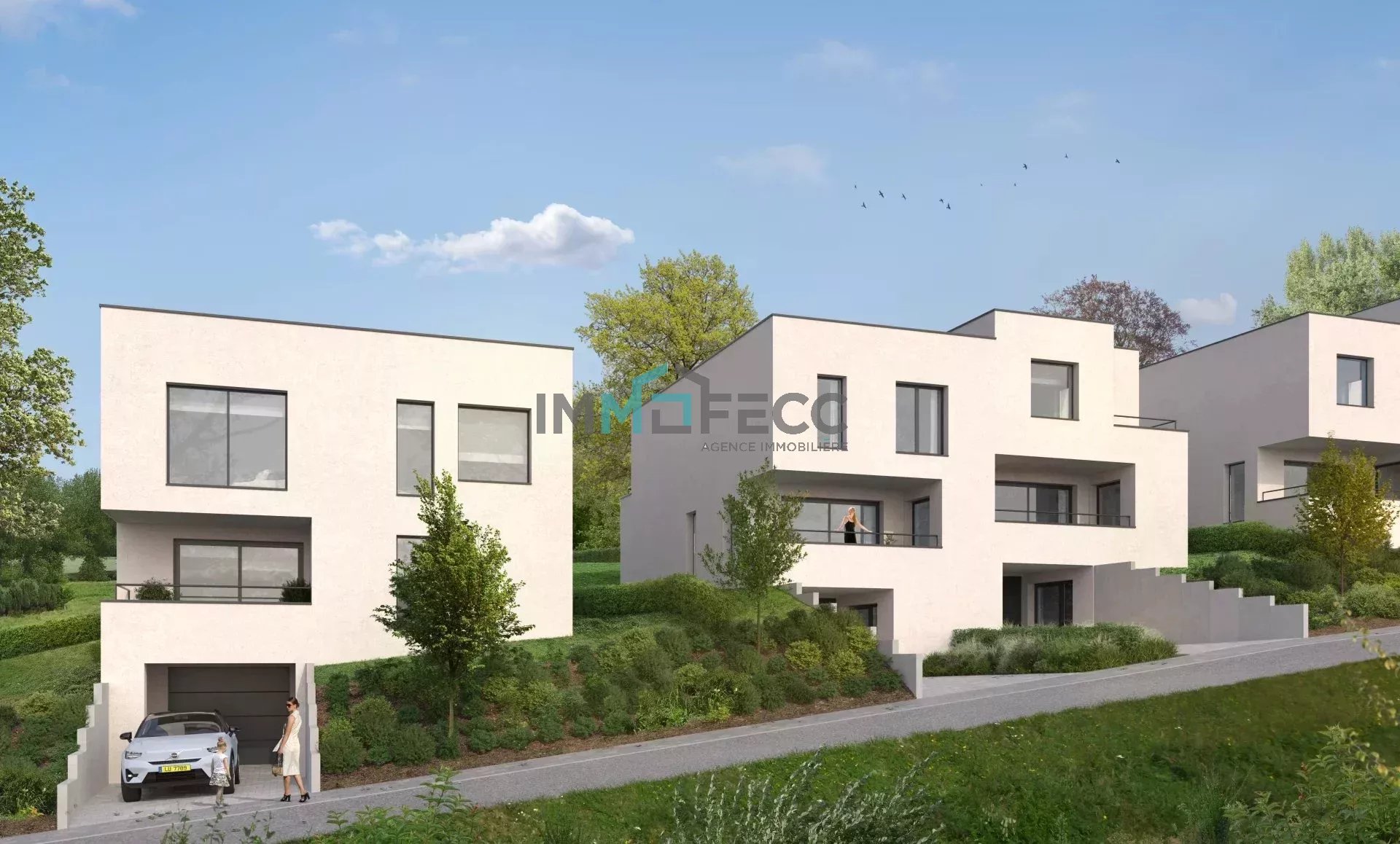 Vente Maison Greiveldange