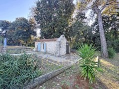 Property in Antibes in absolute calm, swimming pool — photo 5 of 7