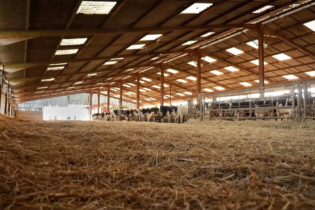 Agence immobilière de Nat'Immobilier