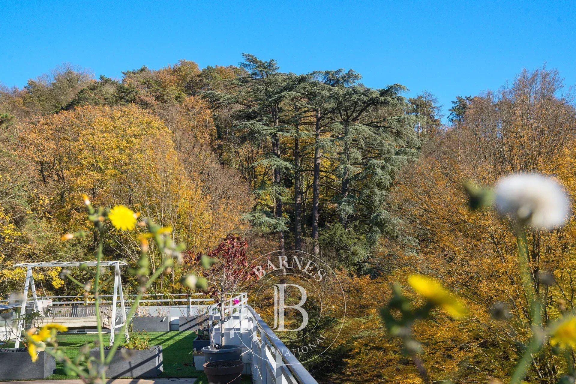 Penthouse Caluire-et-Cuire
