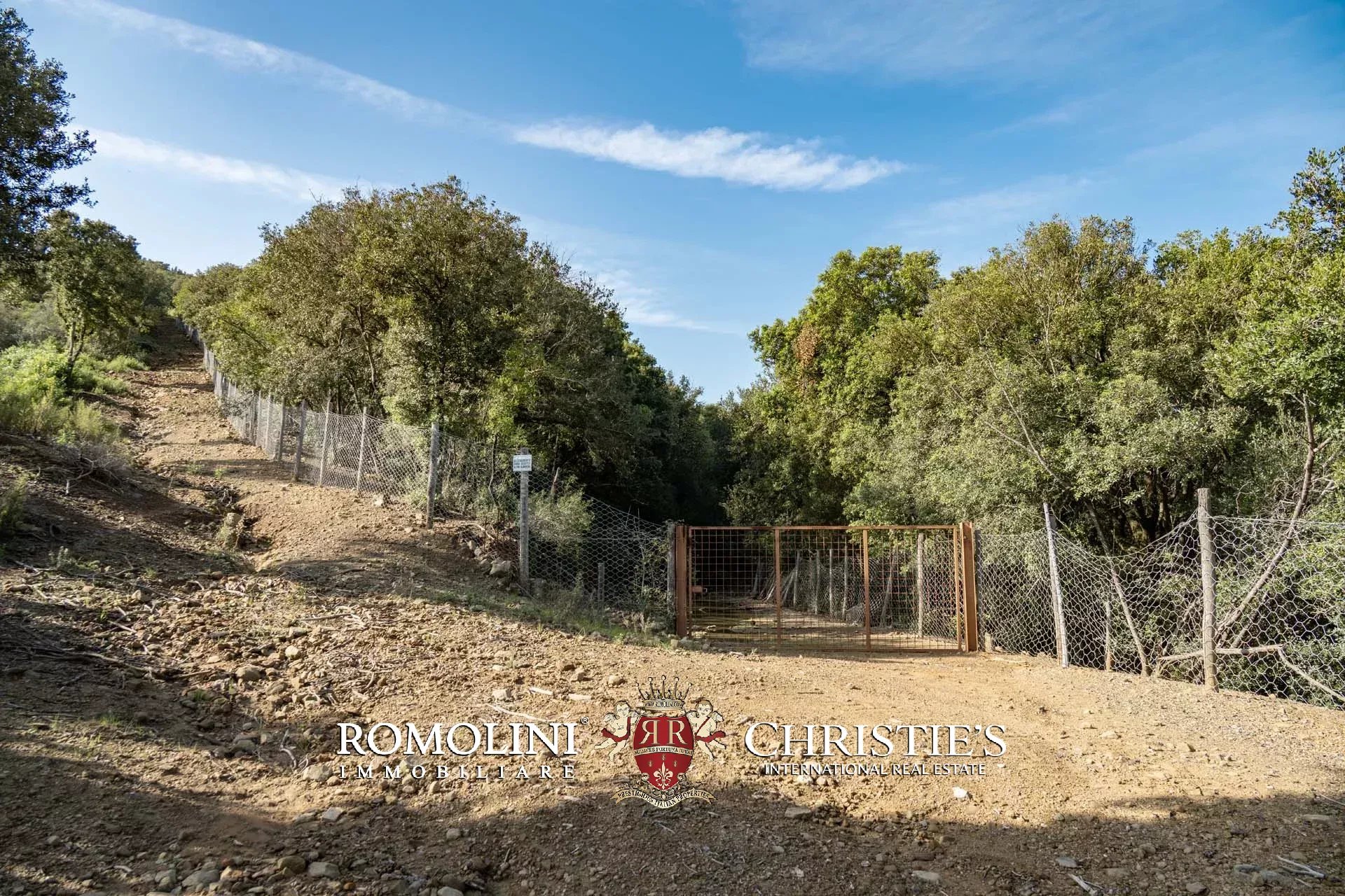 324-HA HUNTING RESERVE WITH DEVELOPMENT PROJECT FOR SALE IN MAREMMA, TUSCAN COAST