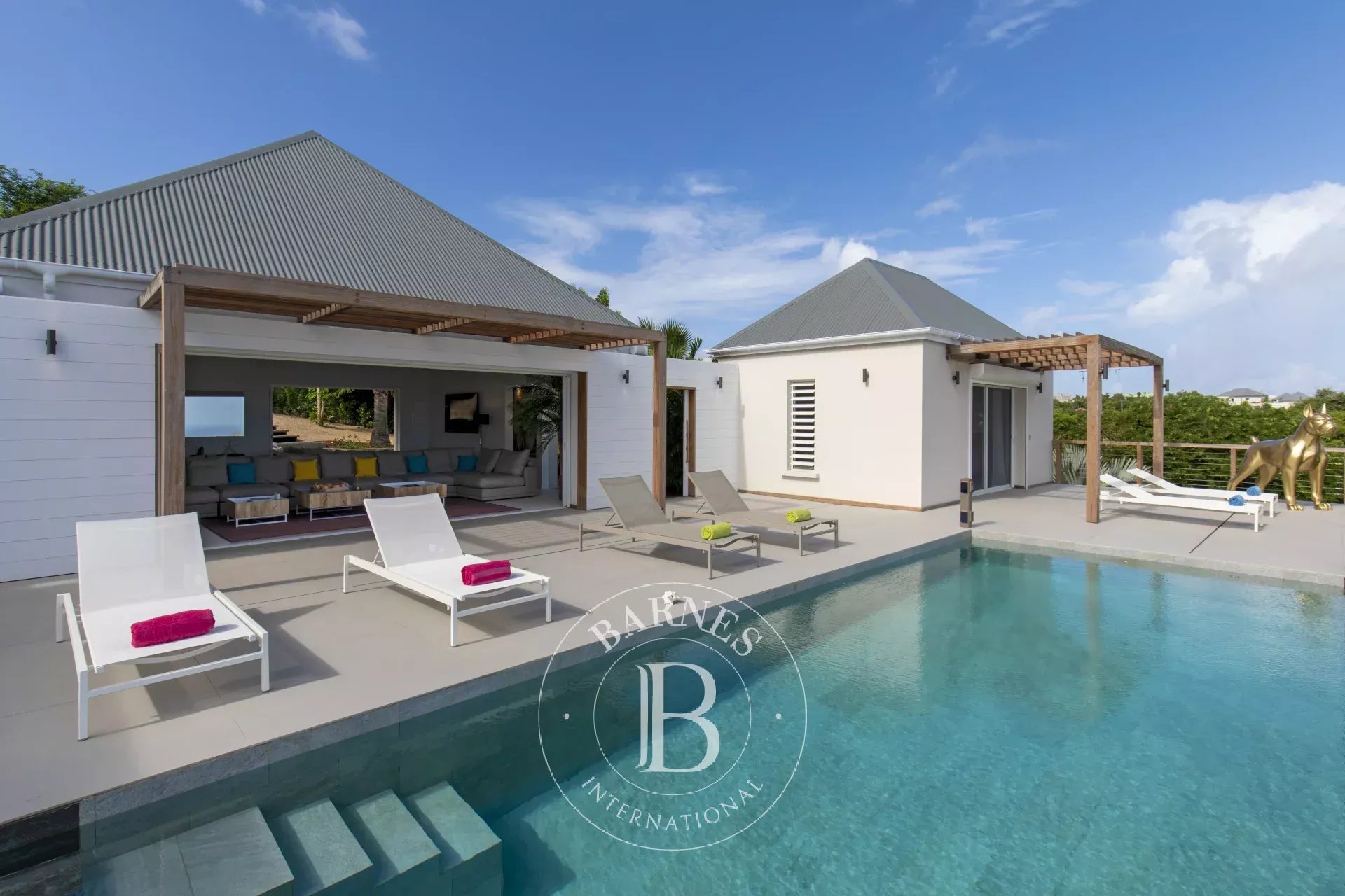 Villa Saint-Barthélemy  -  ref 86995916 (picture 2)
