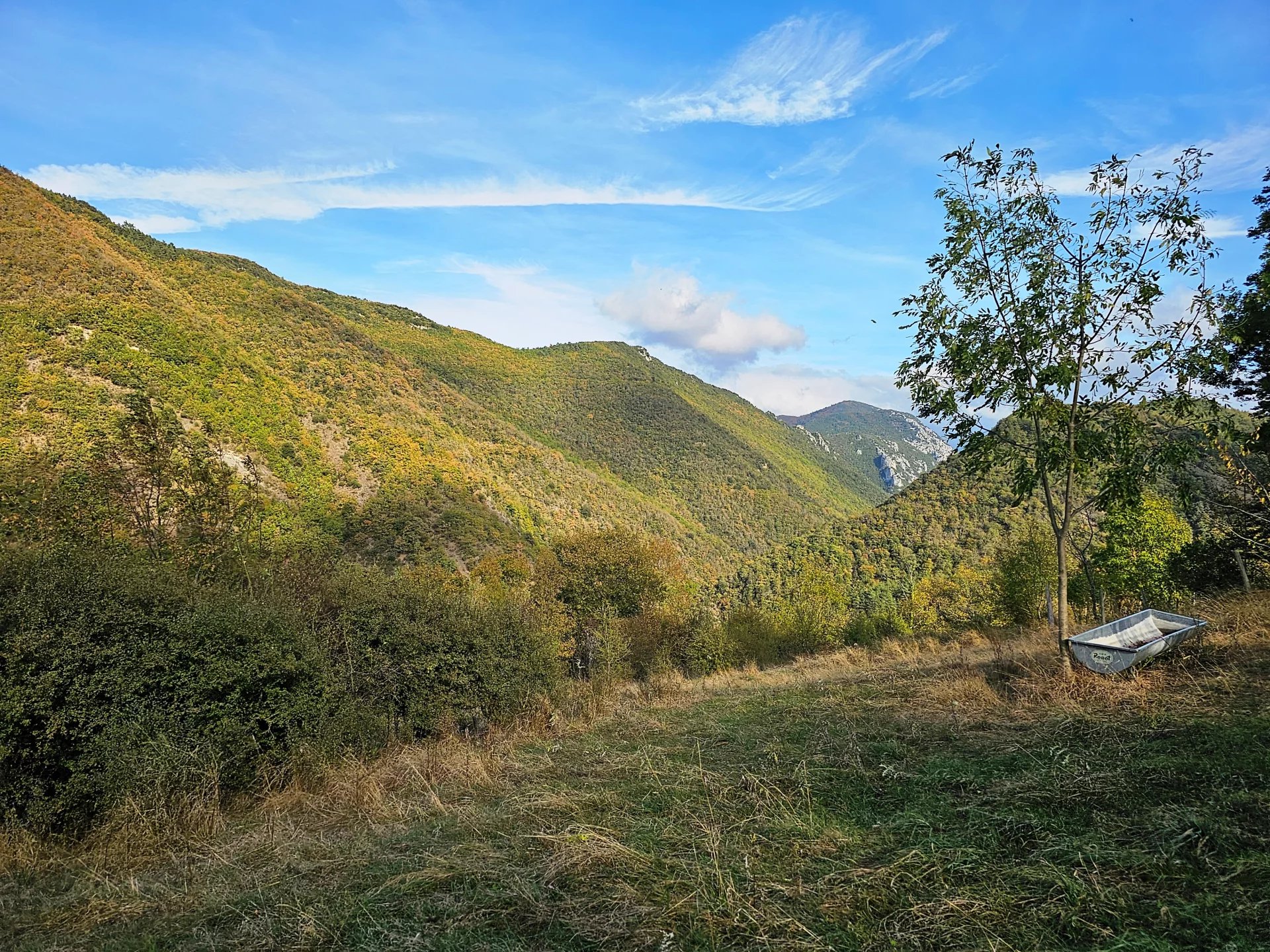 Agence immobilière de Richardson Immobilier