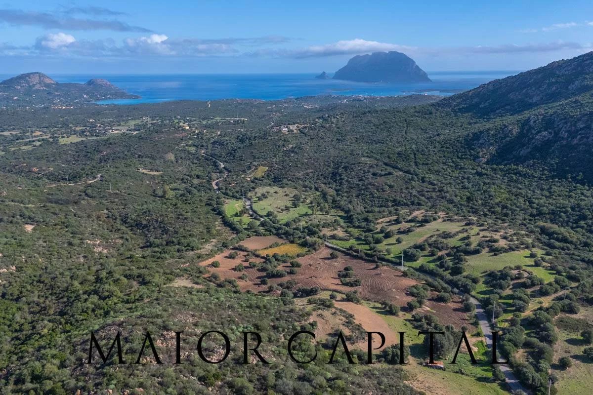 Loiri Porto San Paolo | Loc. Tiriddò | Terreno agricolo con vista mare panoramica