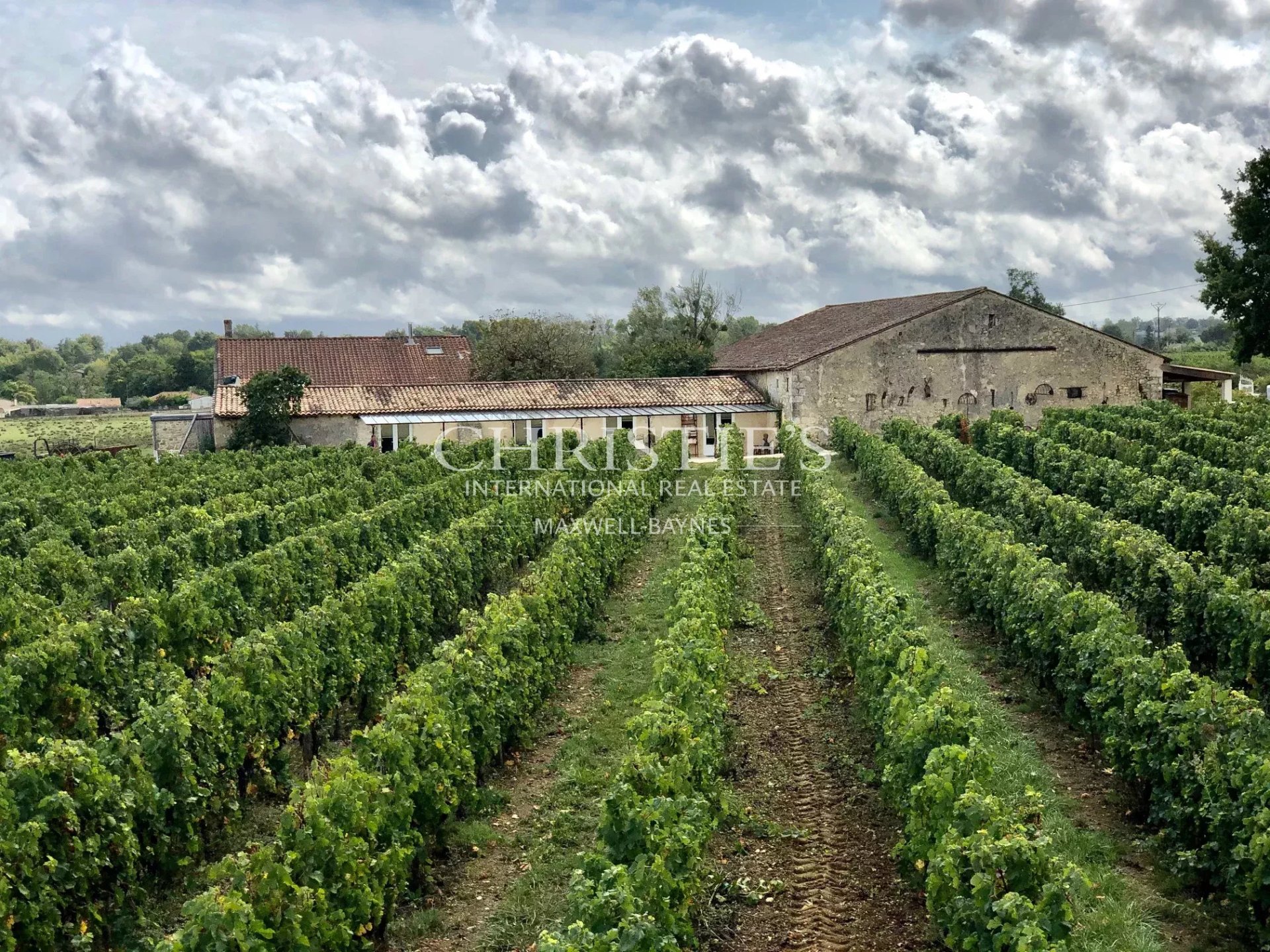 7 Bedroom Vineyard's Image 15