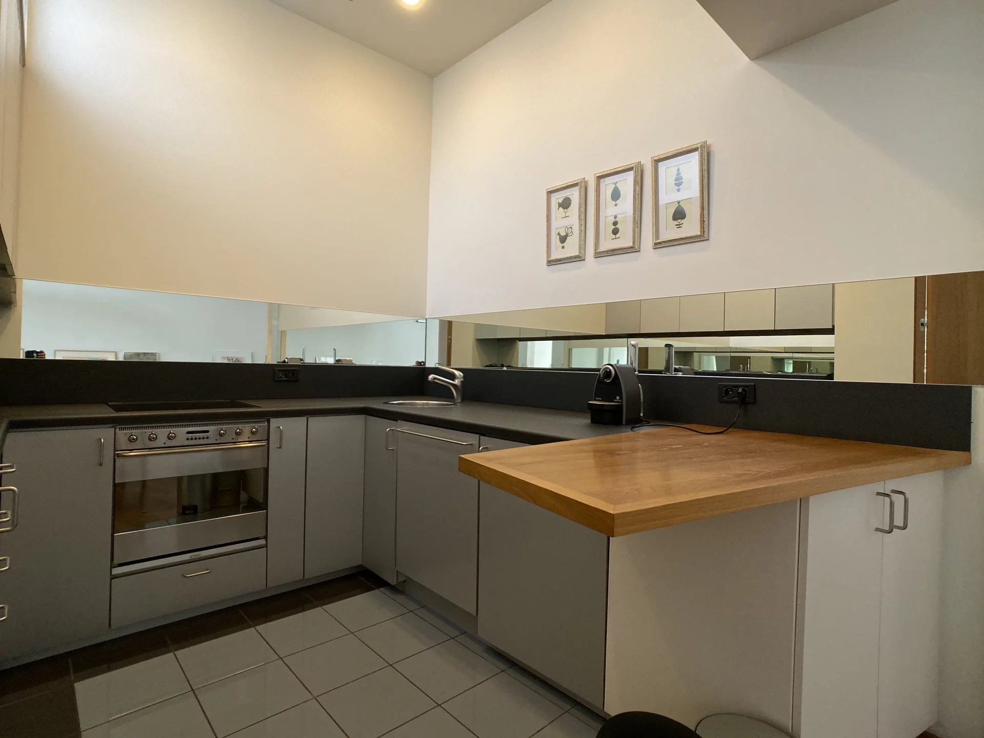 Ev Ixelles - picture 6