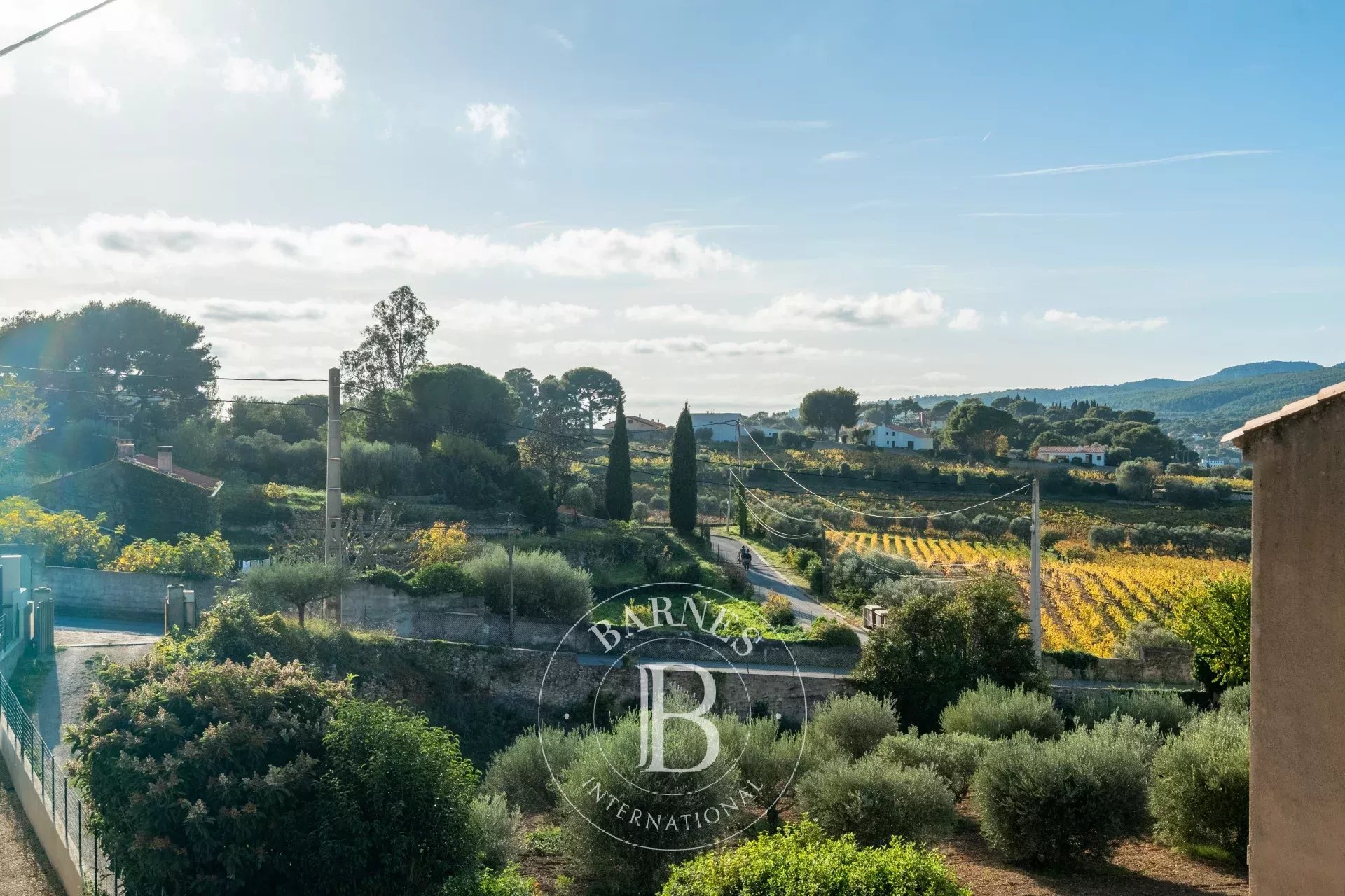 Ev Cassis - picture 11