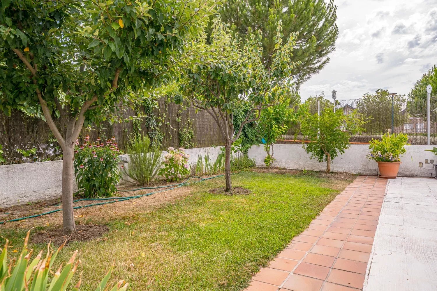 Ev Pozuelo de Alarcón - picture 20