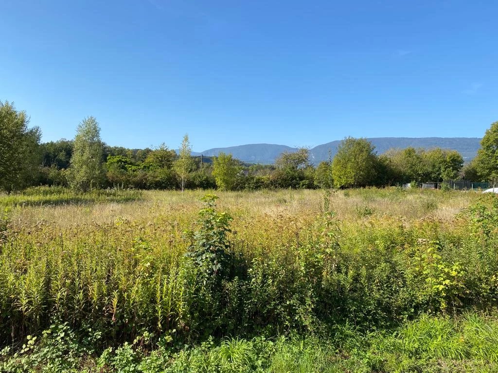 Agence immobilière de BV Immobilier