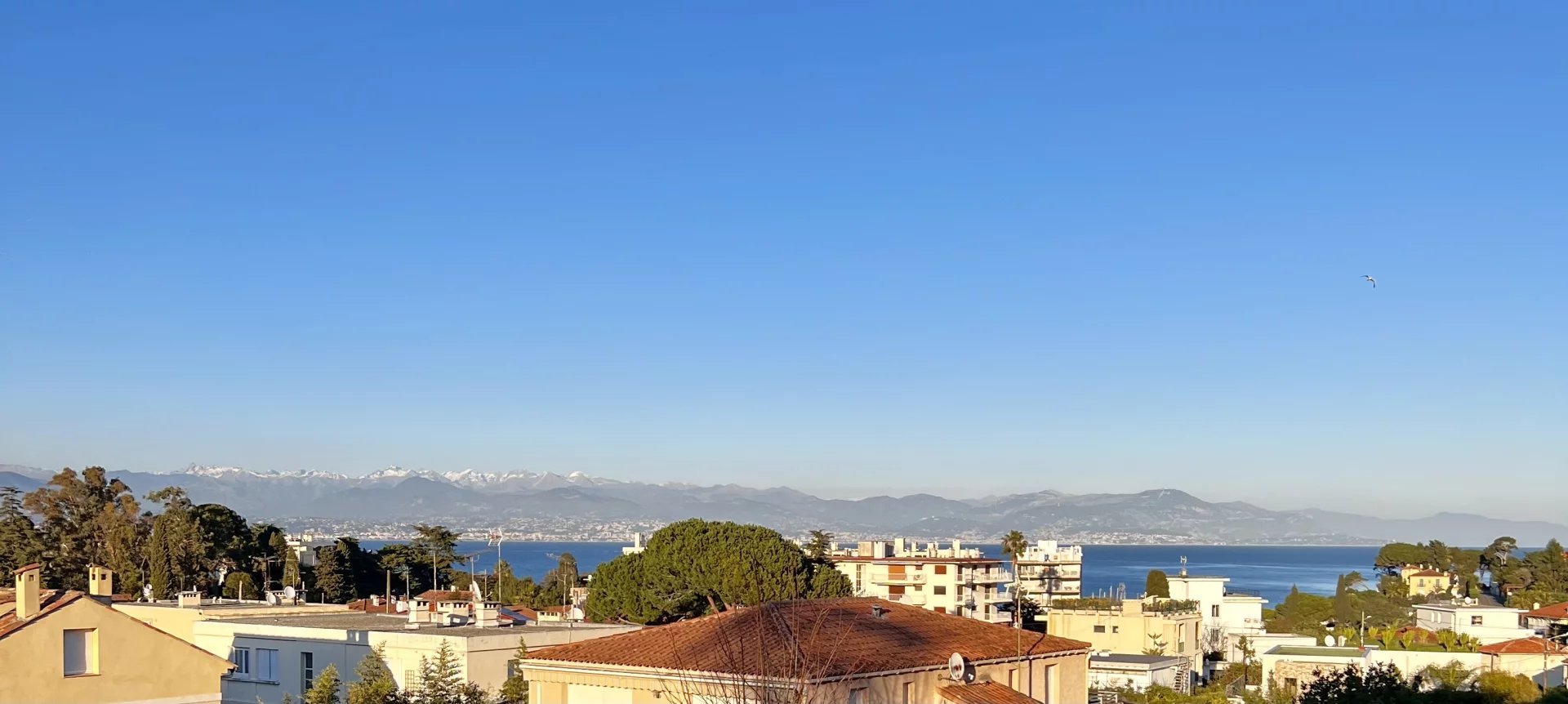 Grand appartement avec vue mer et piscine