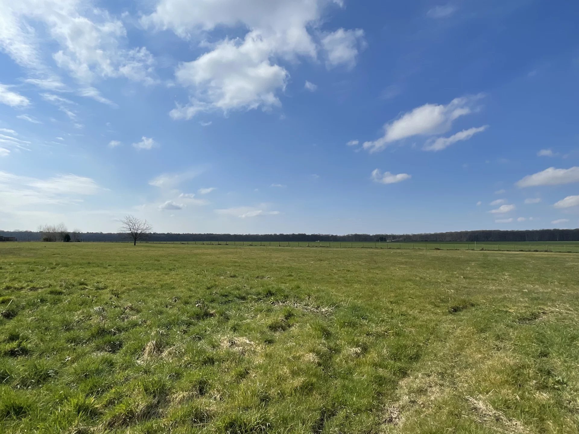 Agence immobilière de Chateauneuf Immobilier