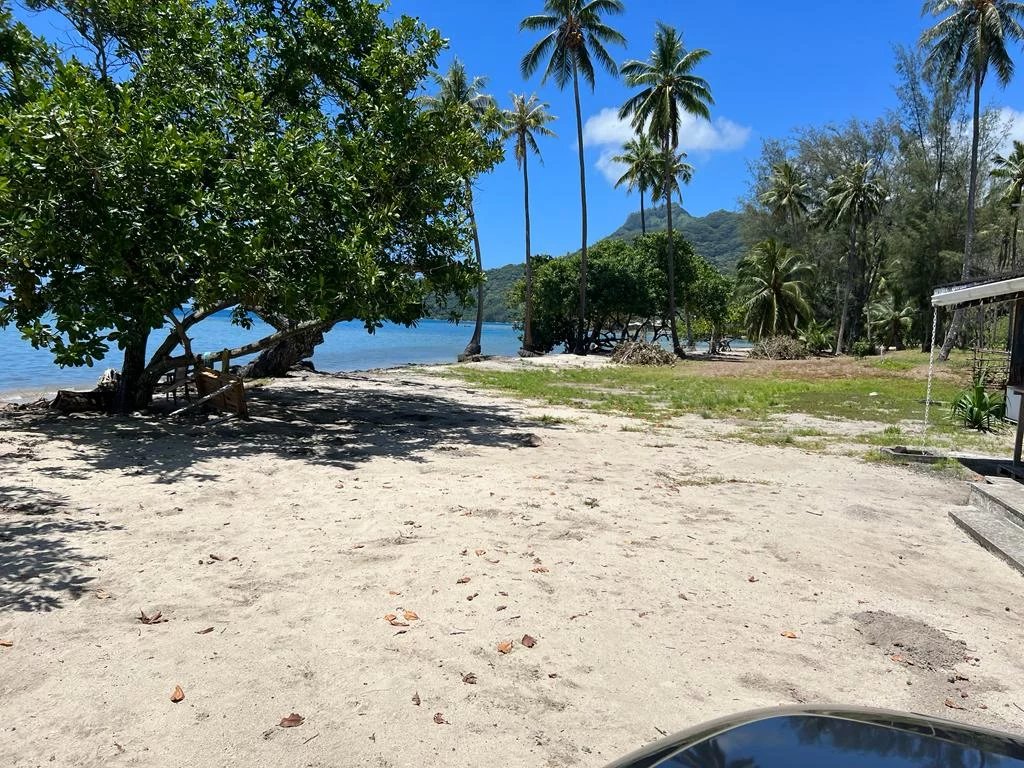 Somptueux terrain constructible unique et dernier pied à Moorea.