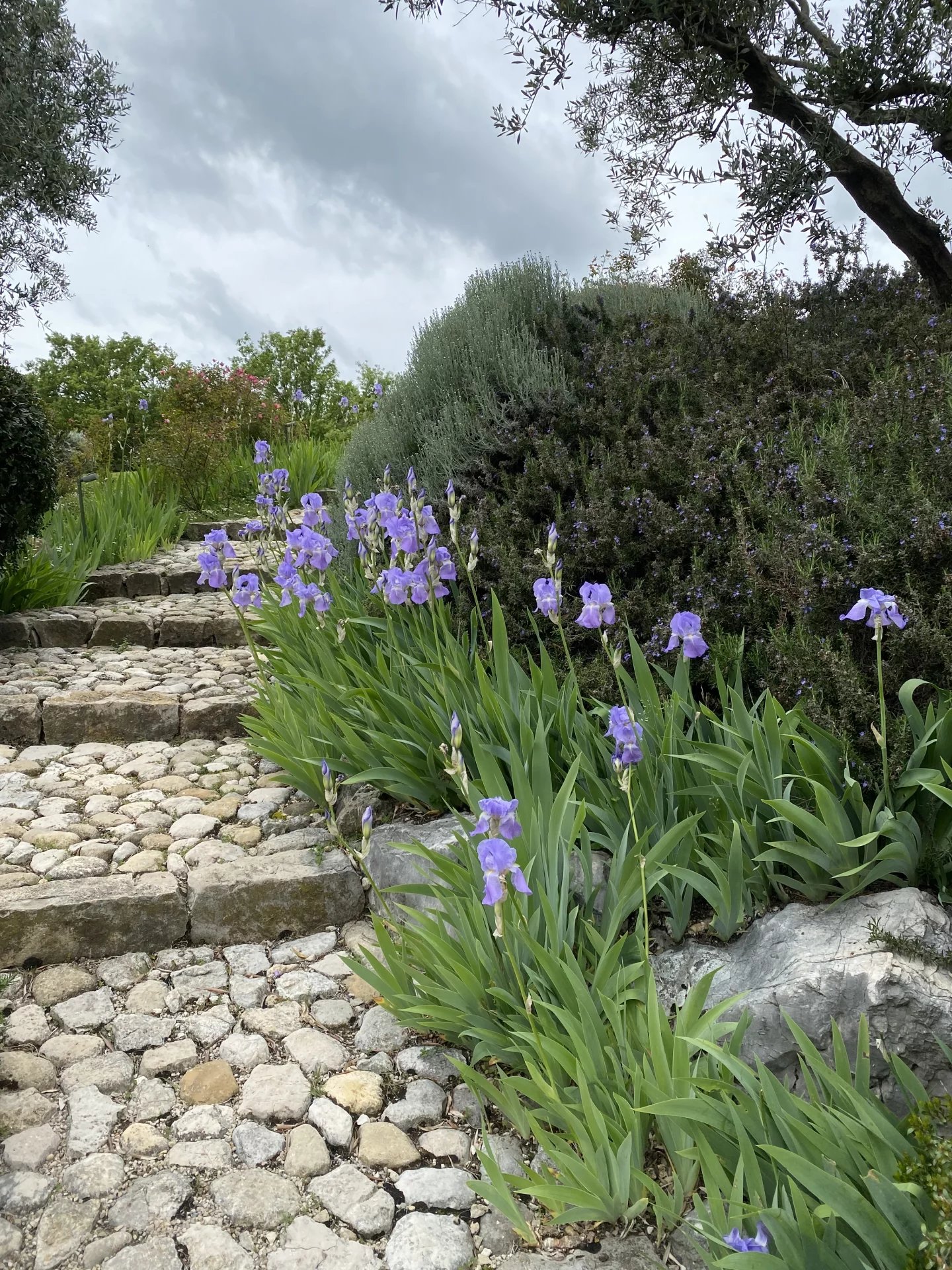 Magnificent property - Saint Vallier de Thiey