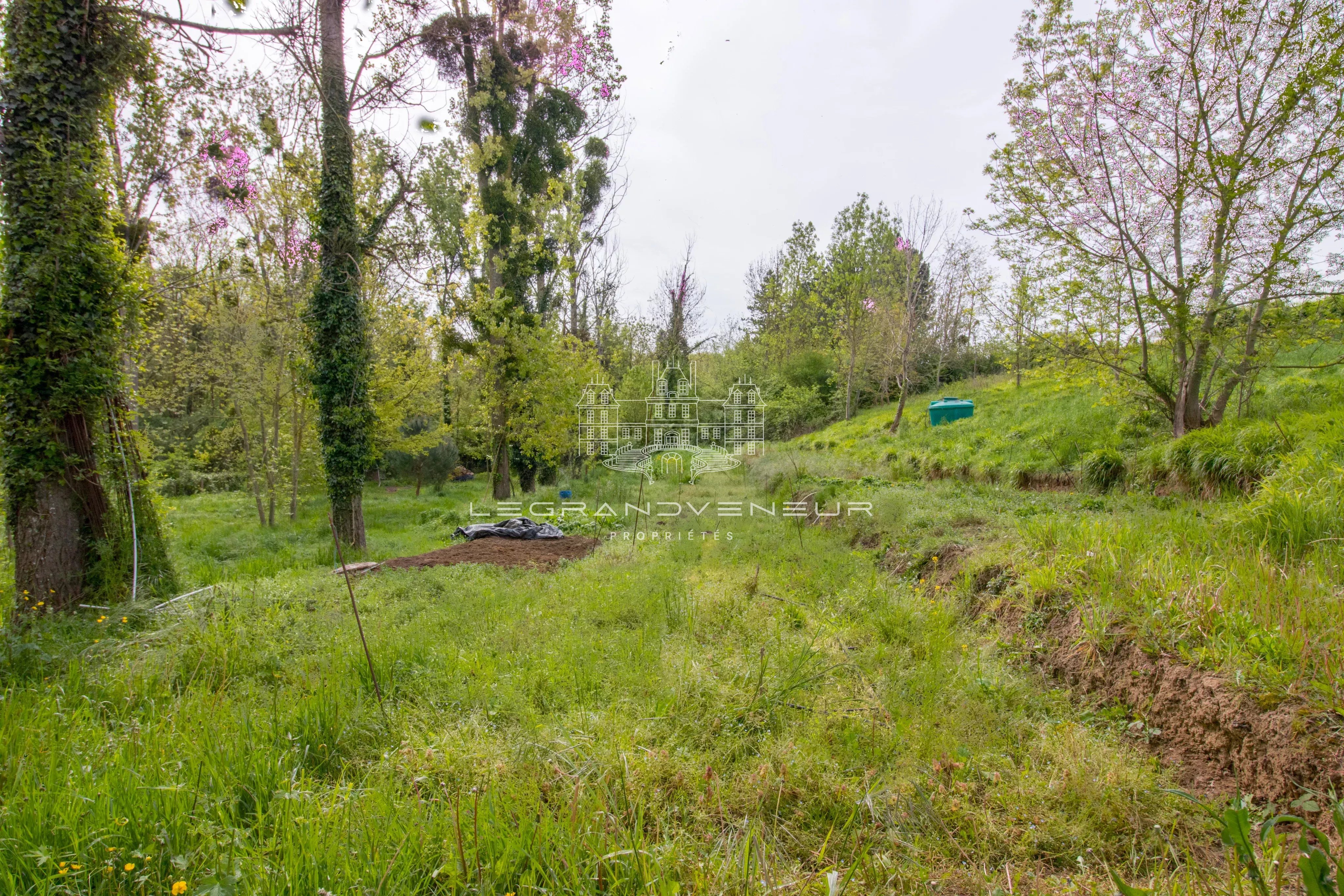 Sale House Vernou-la-Celle-sur-Seine