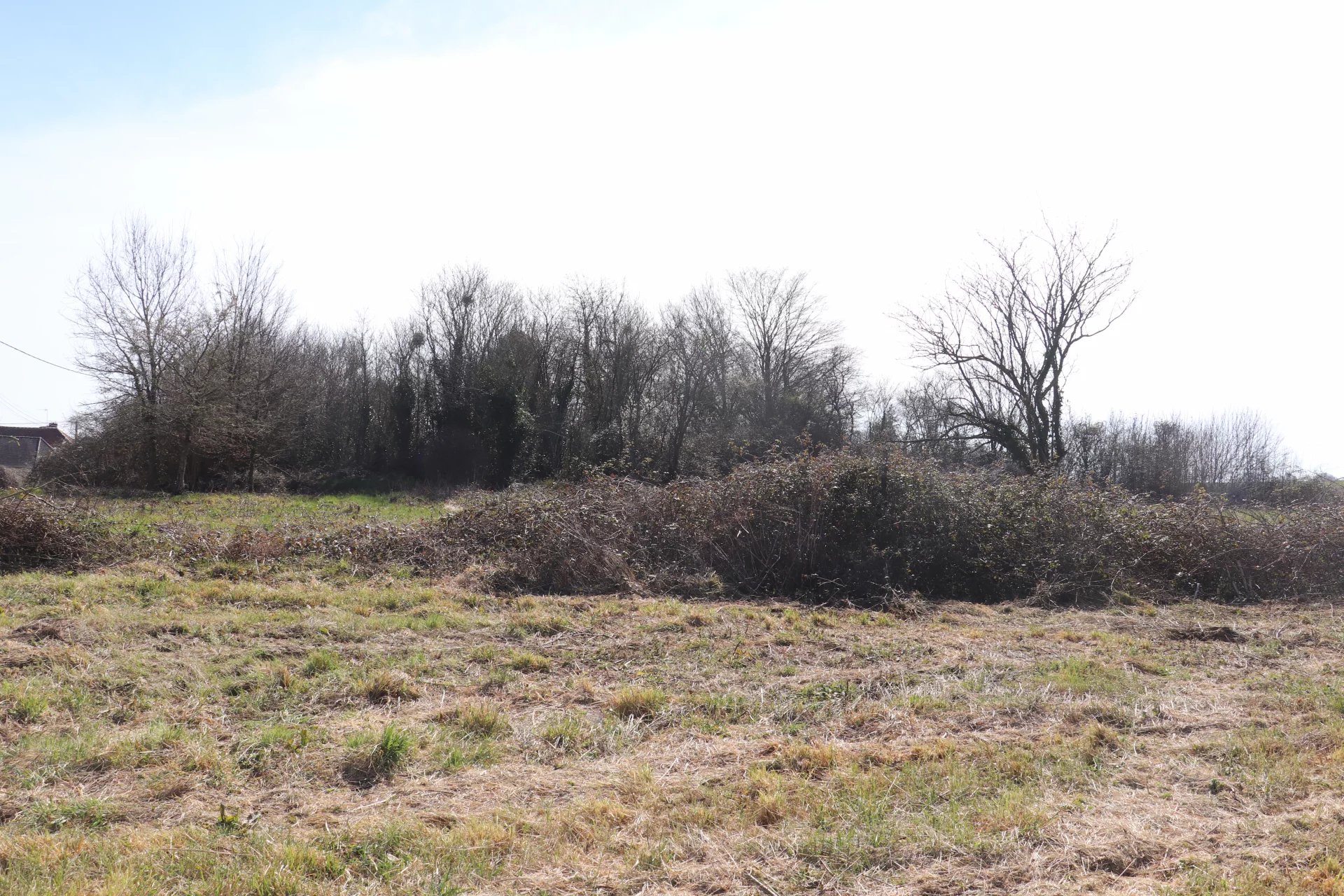 Grand terrain à bâtir plat et sans vis à vis de près de 1500 m²
