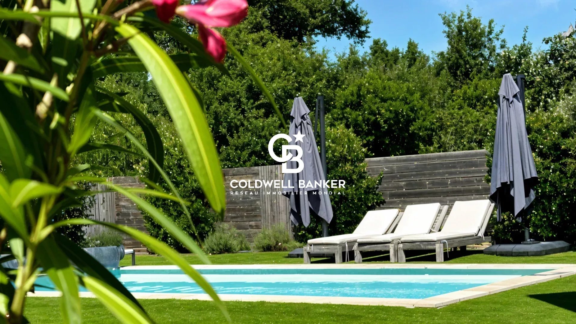 Agence immobilière de Silver Coast Int. Realty