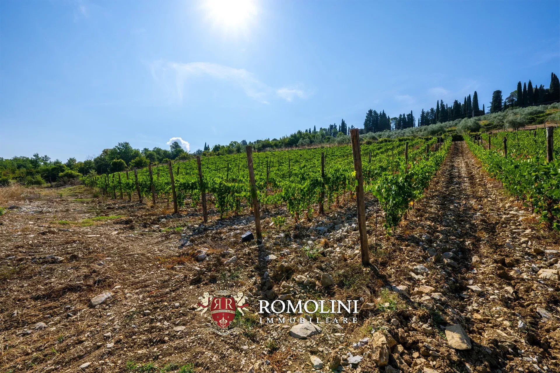 3 Bedroom Vineyard's Image 17