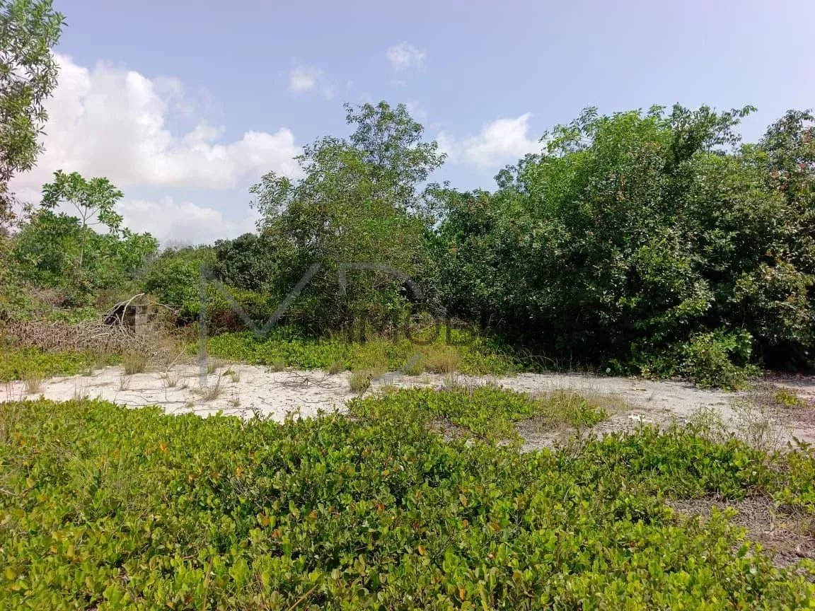 ASSINIE MAFIA – TERRAIN 600 m² À VENDRE