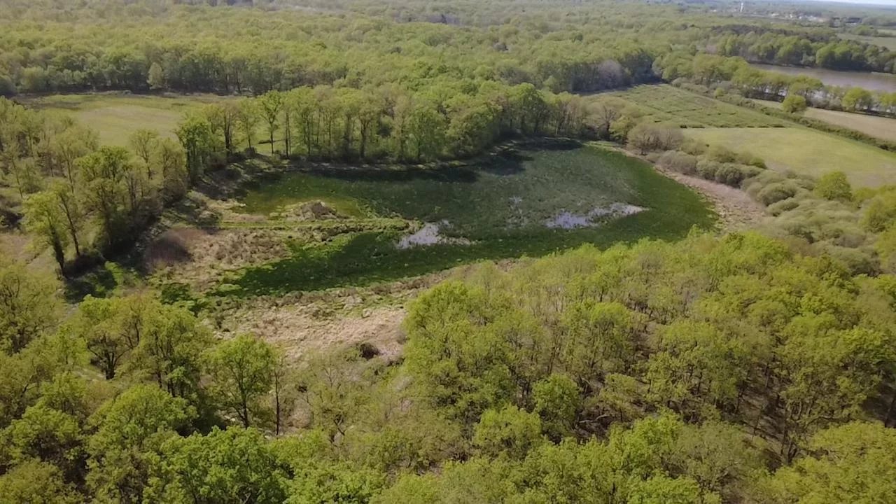 Propriété Chaumont-sur-Tharonne  -  ref 86886935 (picture 2)