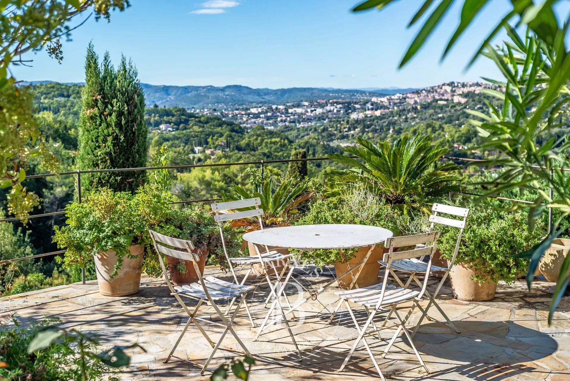 Ev Grasse - picture 14