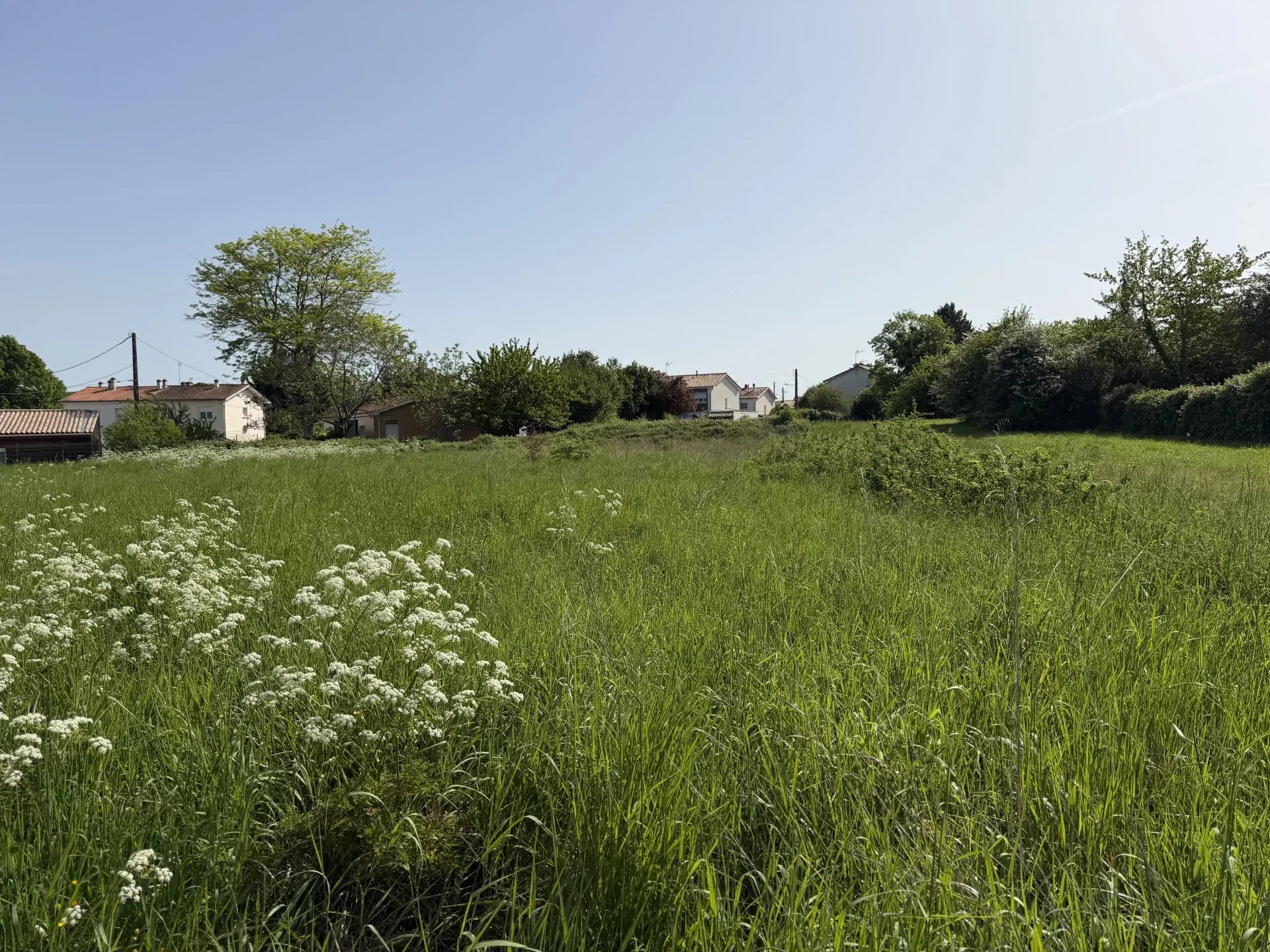 Agence immobilière de ROSER BEATRICE