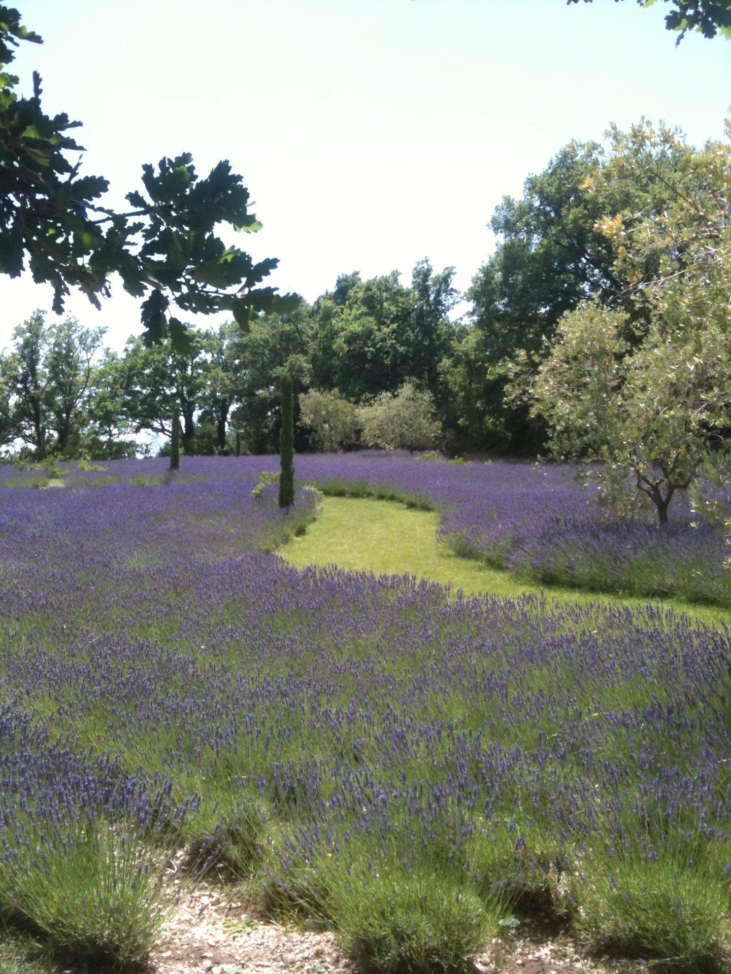 Magnificent property - Saint Vallier de Thiey