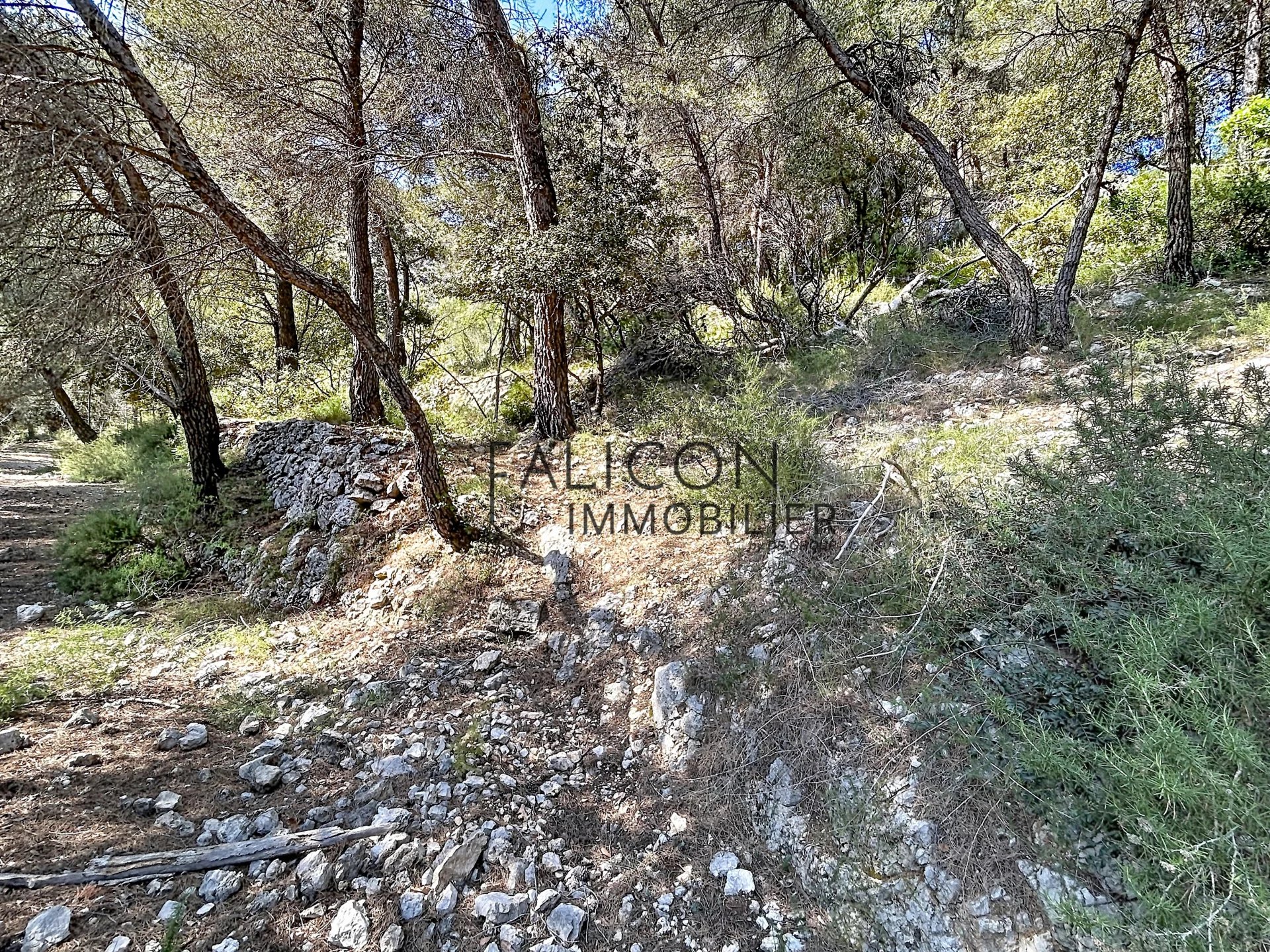 Terrain constructible Falicon - Photo 4