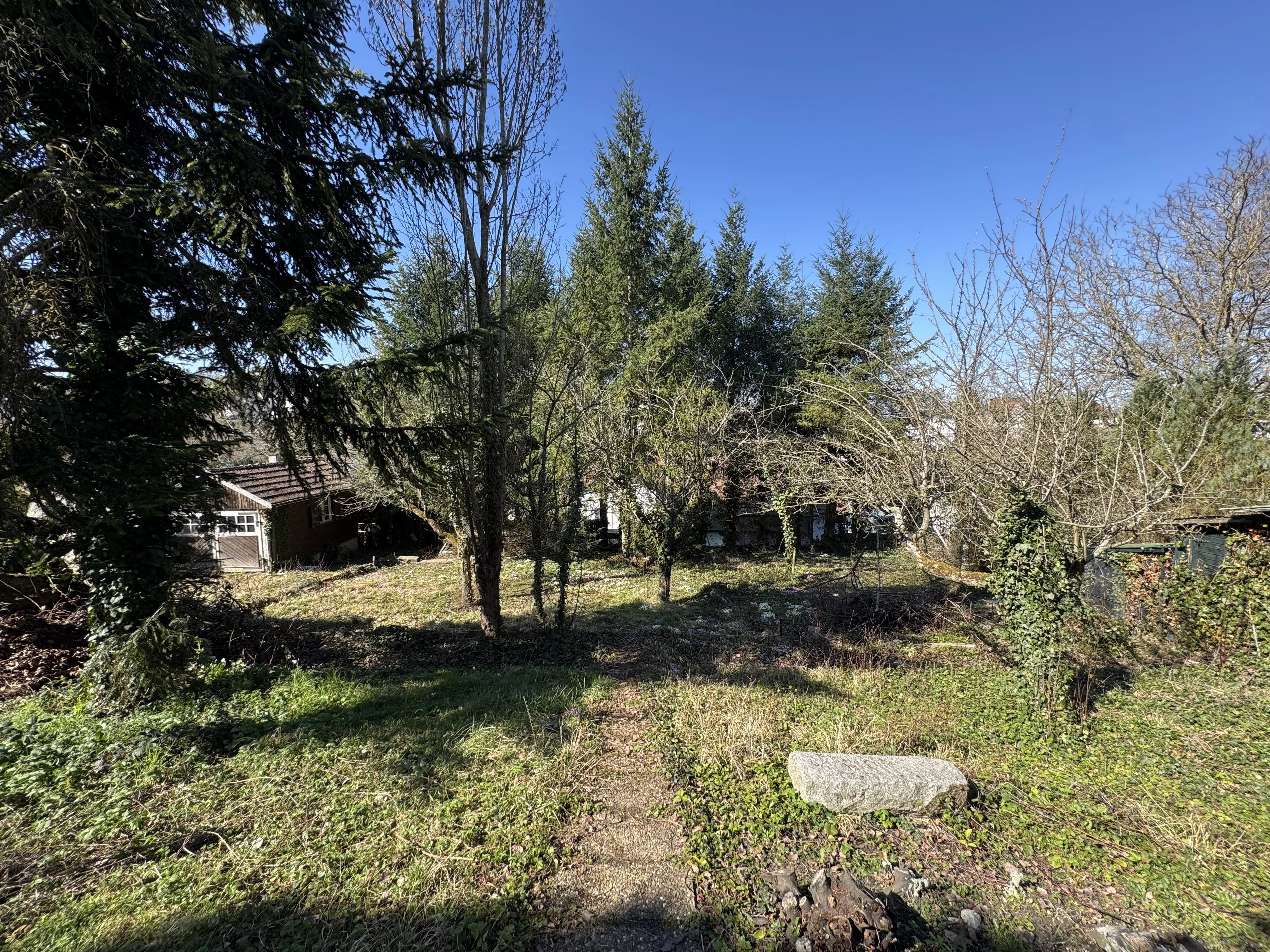 ALTKIRCH – TERRAIN À BÂTIR DE 8,56 ARES — photo 11
