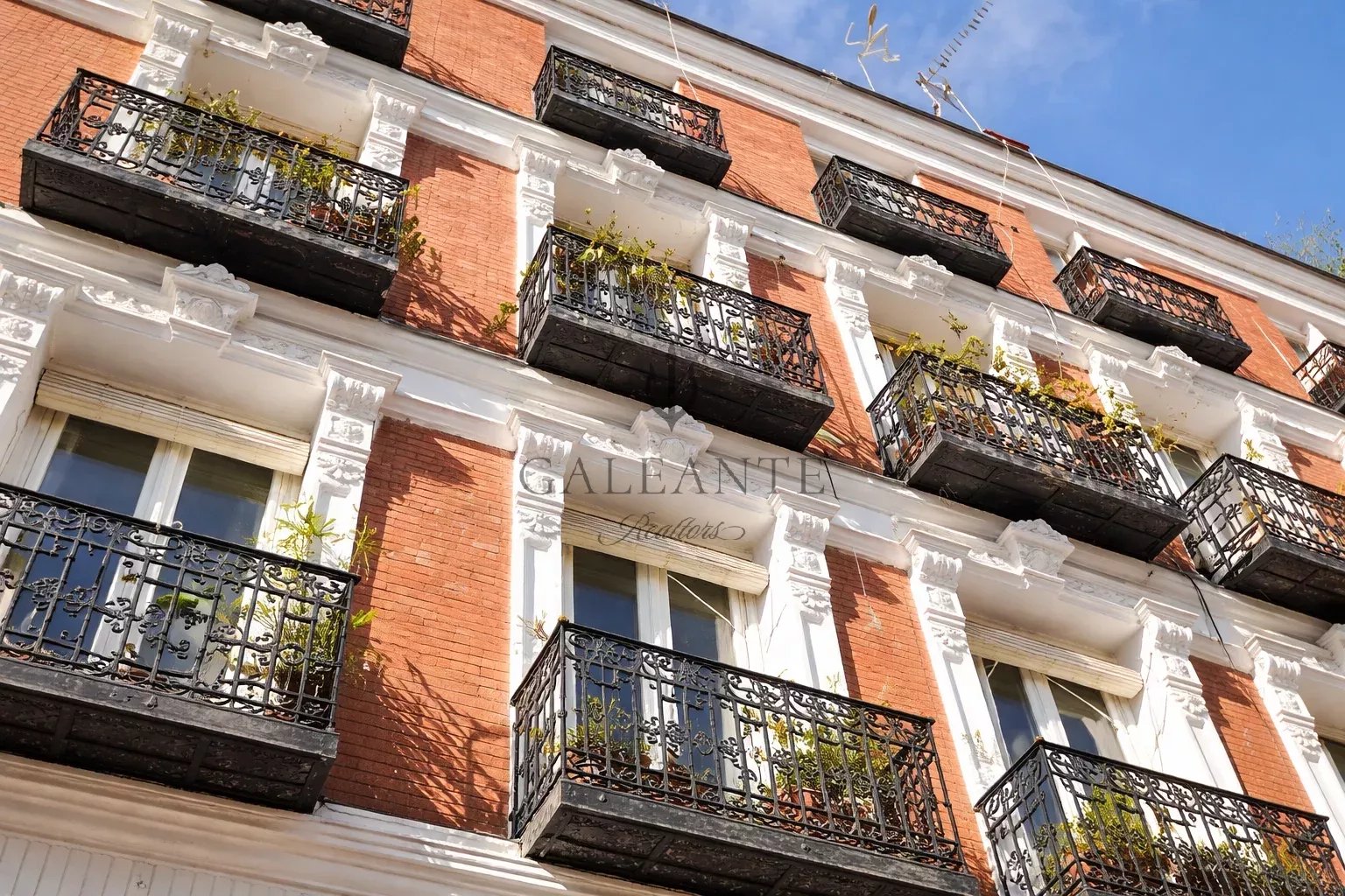 A New Icon - Irresistibly Justicia - Image 7