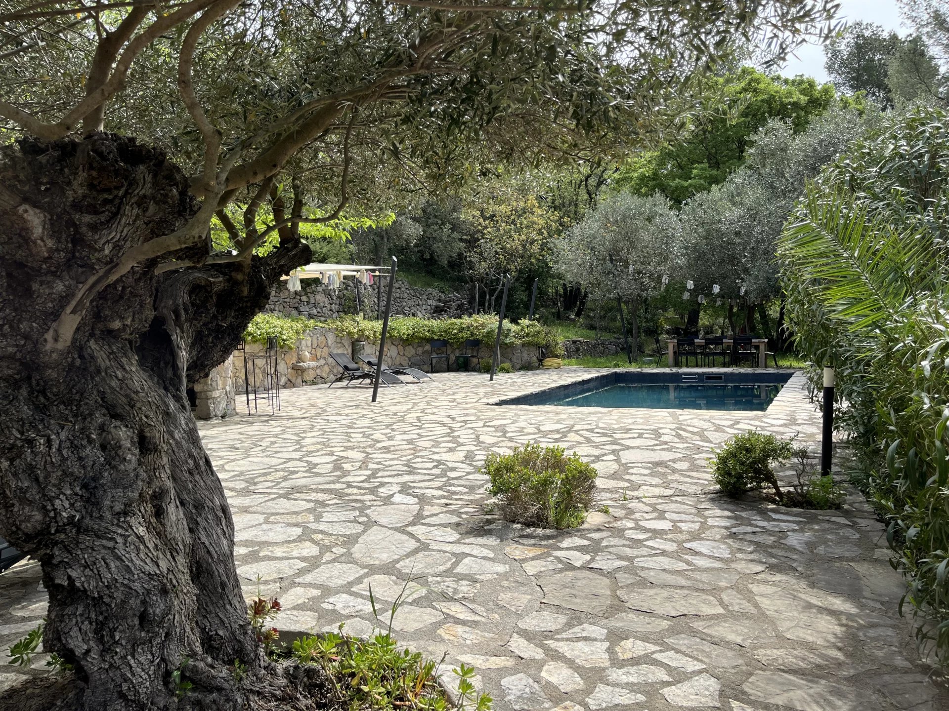 Beautiful villa with swimming pool in a peaceful setting - Seillans