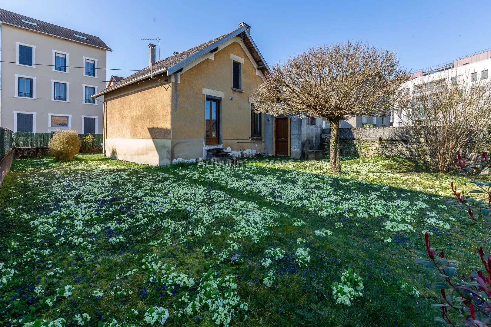 Agence immobilière de SARL AS IMMOBILIER