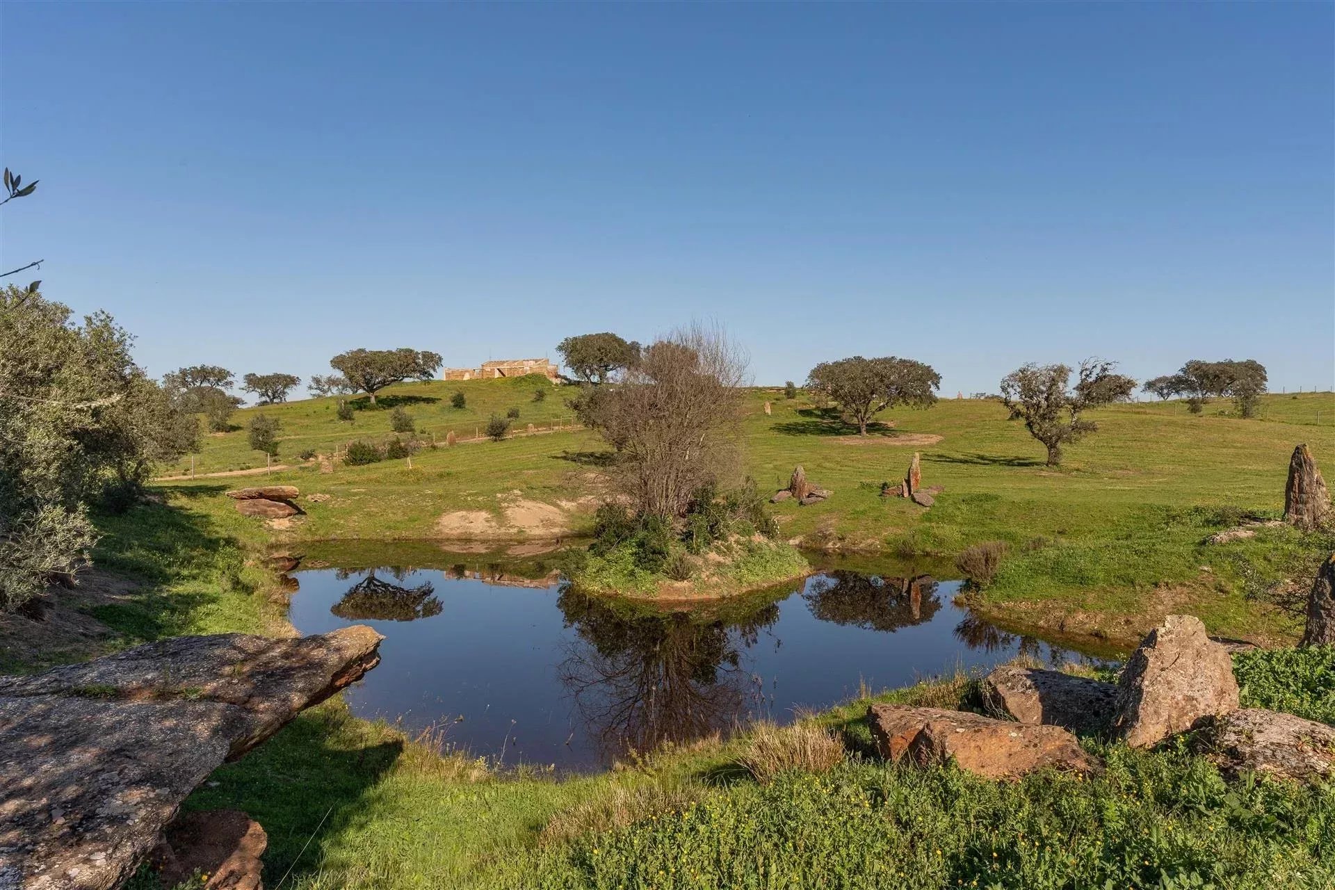 Private Estate - Equestrian Centre 86637172 image 53