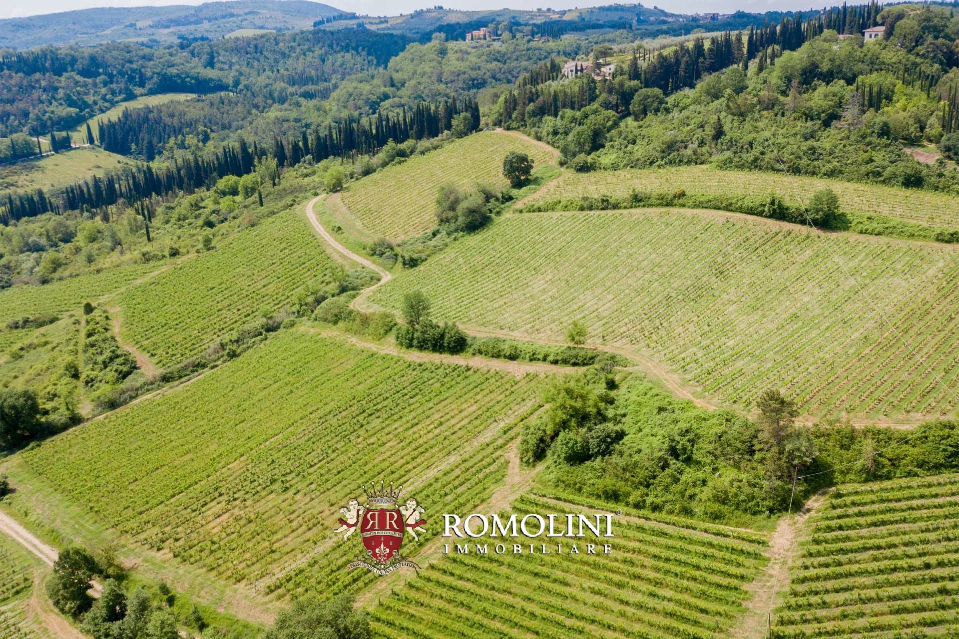 4 Bedroom Vineyard's Image 4