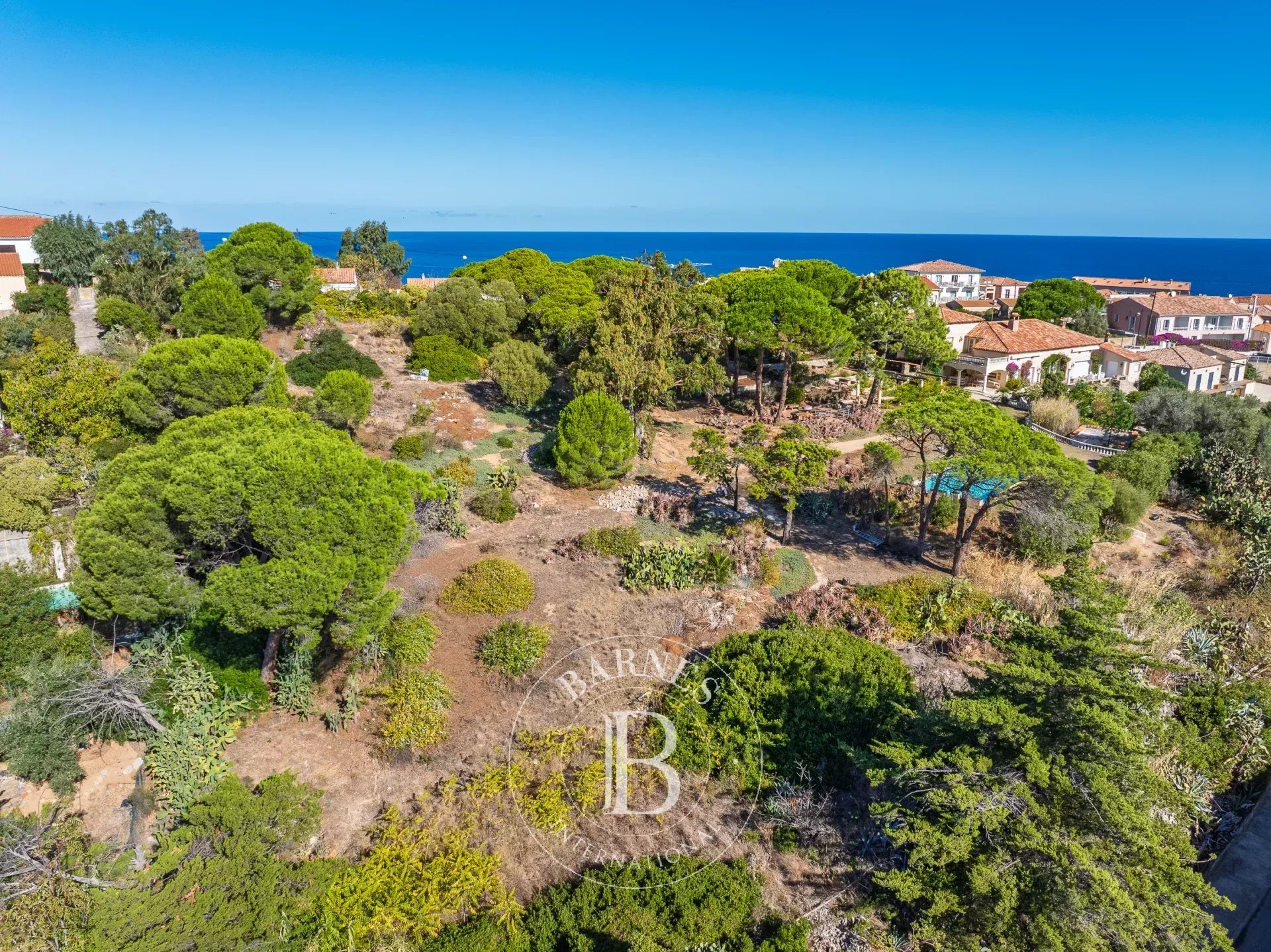 Arazi Calvi - picture 5