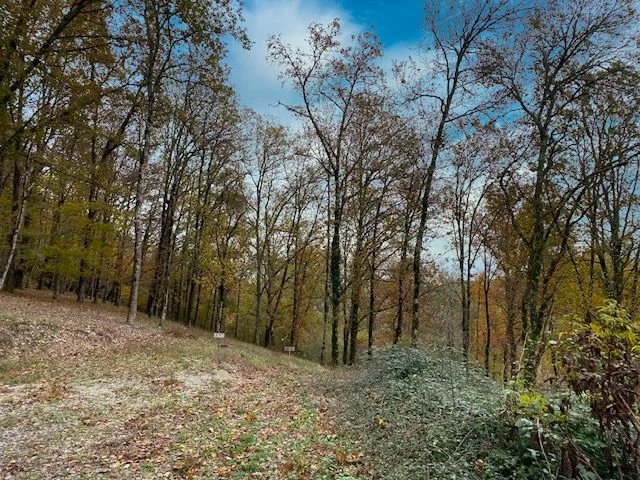 Vente Terrain constructible Saint-Denis-Catus