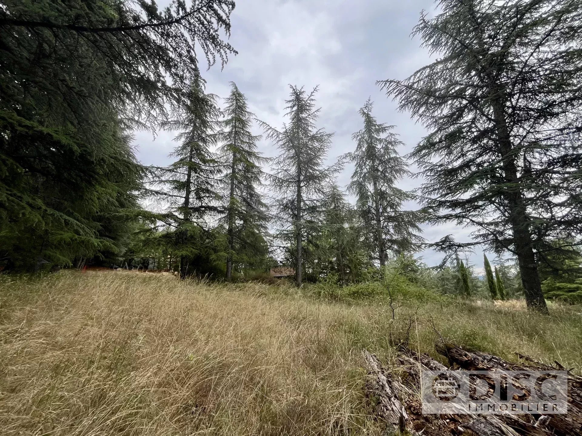 Terrain constructible de 1 100 m² – À 10 minutes du centre-ville de Cahors - Photo 3