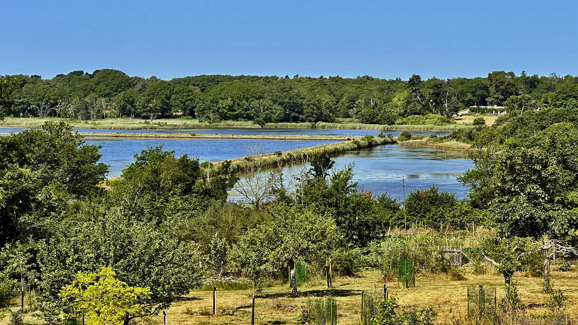 Crach - CRACH GRANDE MAISON VUE SUR MER A VENDRE.