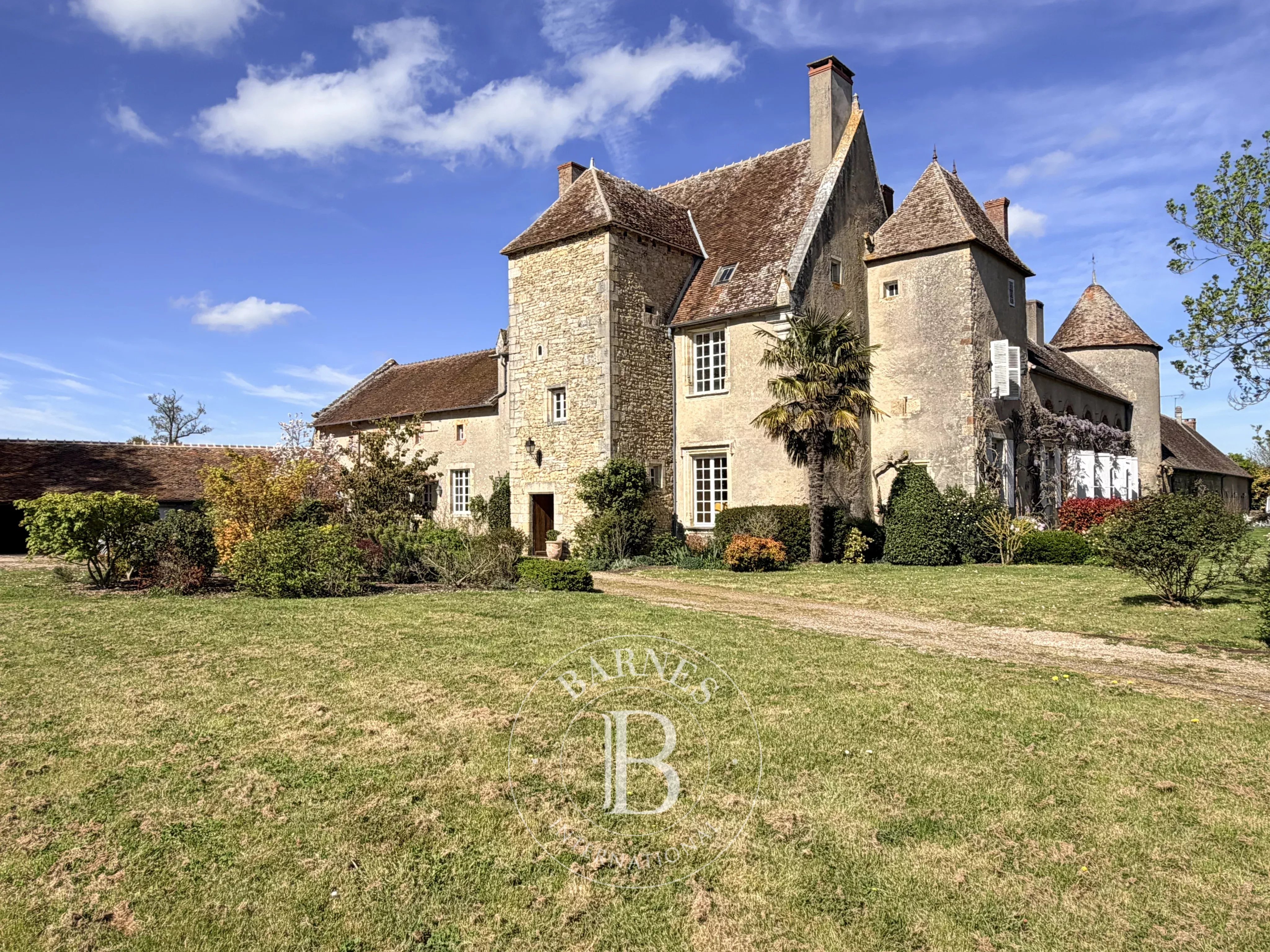Château Saint-Amand-Montrond  -  ref 87157247 (picture 1)