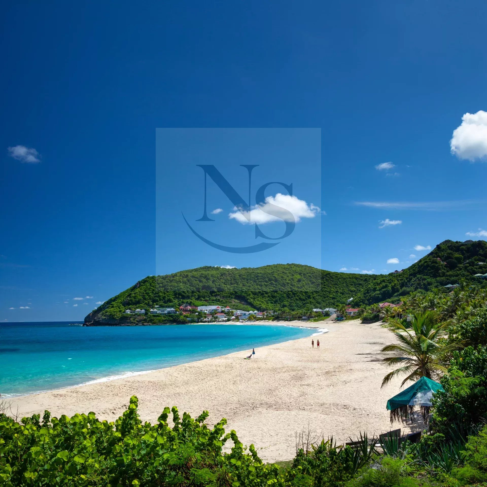 Agence immobilière de NICOLAS STAES