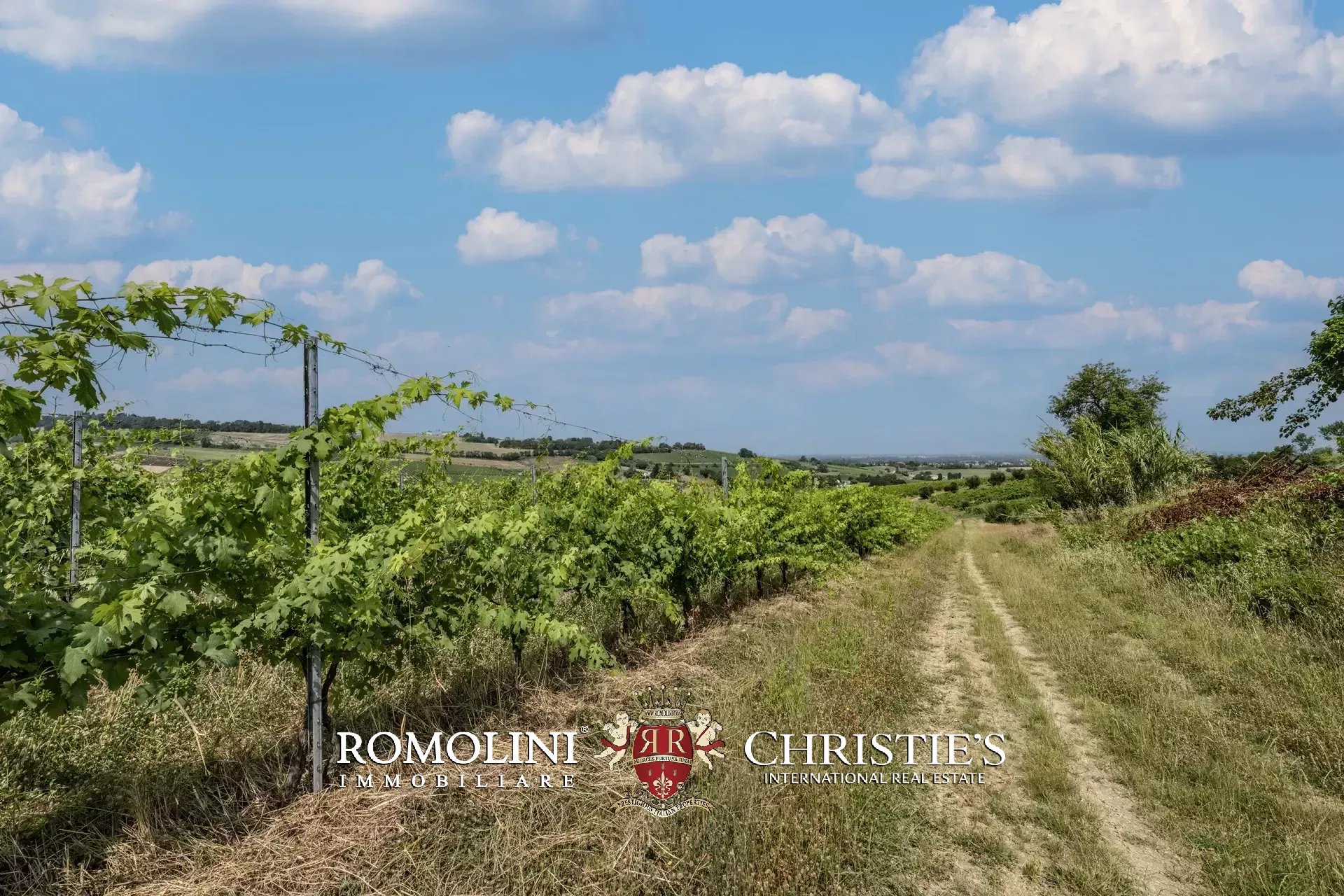 16 Bedroom Vineyard's Image 17